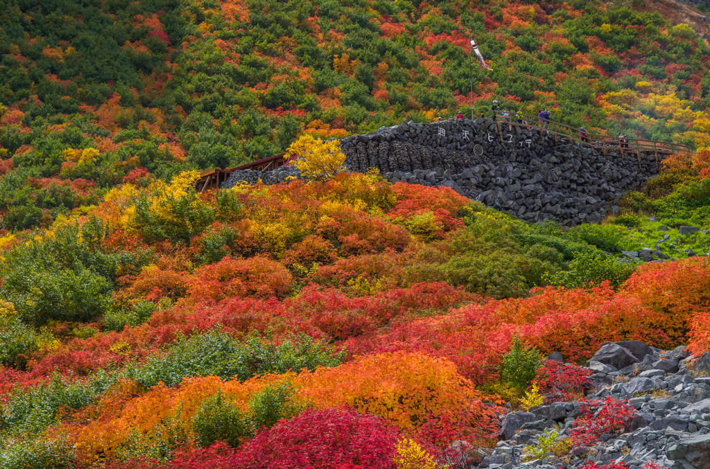 2013karasawa-0077