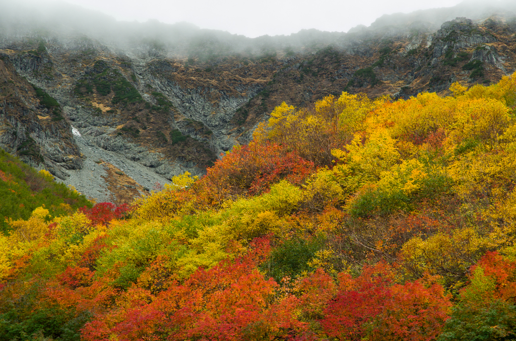 2013karasawa3-0237