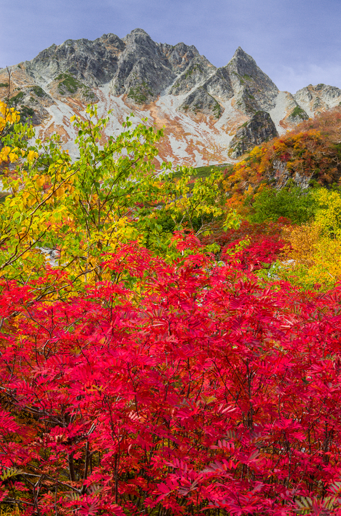 2013karasawa-0069