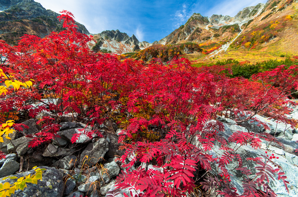 2013karasawa-0106