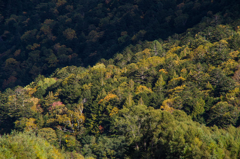 2013karasawa-0099