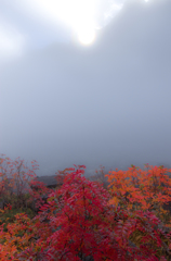 2013karasawa3-0109