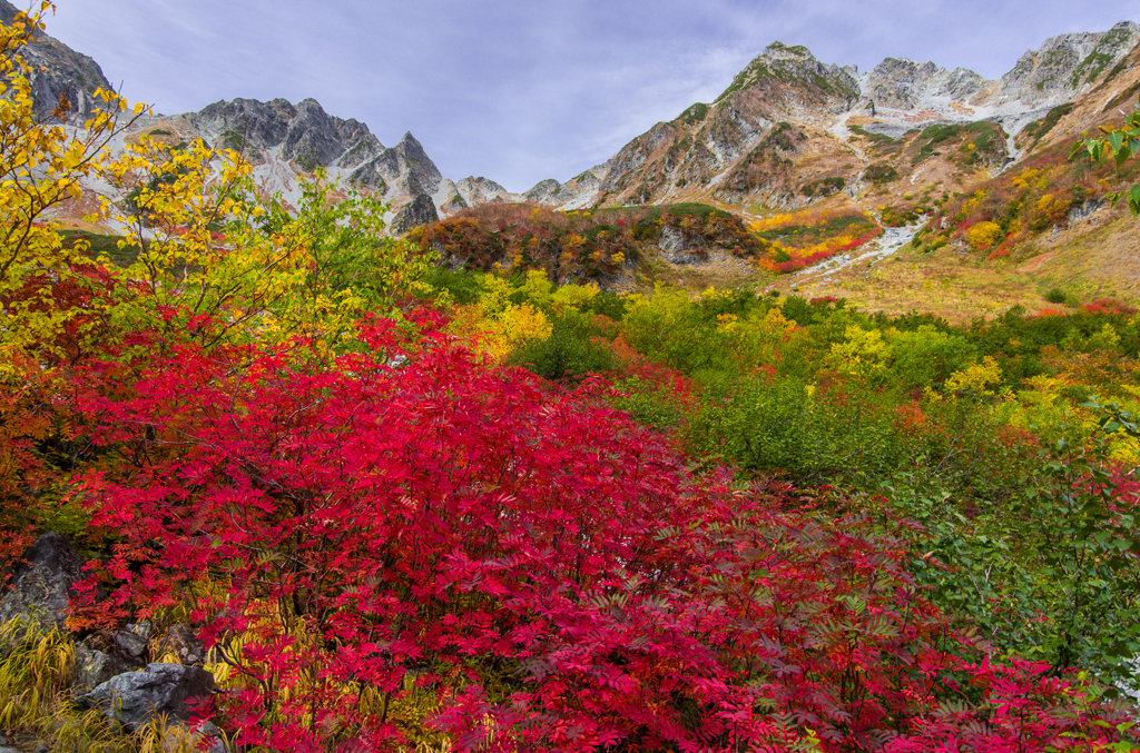 2013karasawa-0066-2