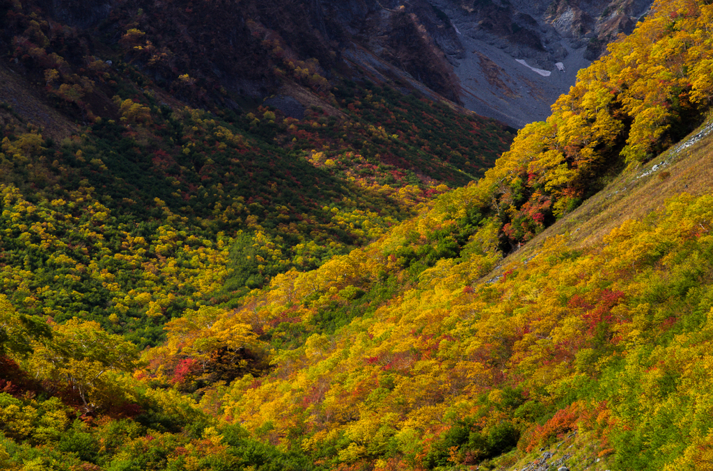 2013karasawa-0022