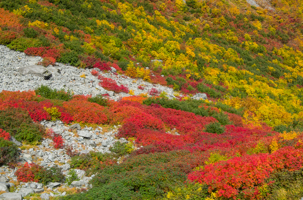 2013karasawa-0130