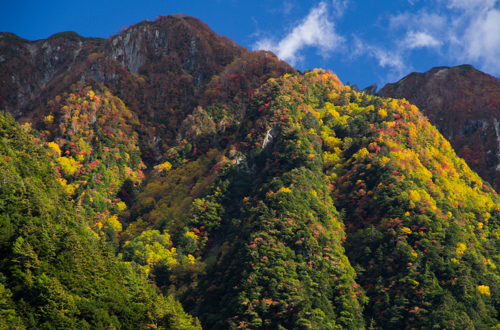 2013karasawa-0049
