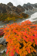 2013karasawa-0176