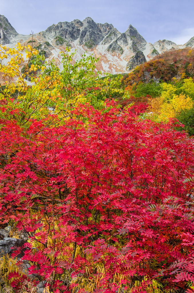 2013karasawa-0058