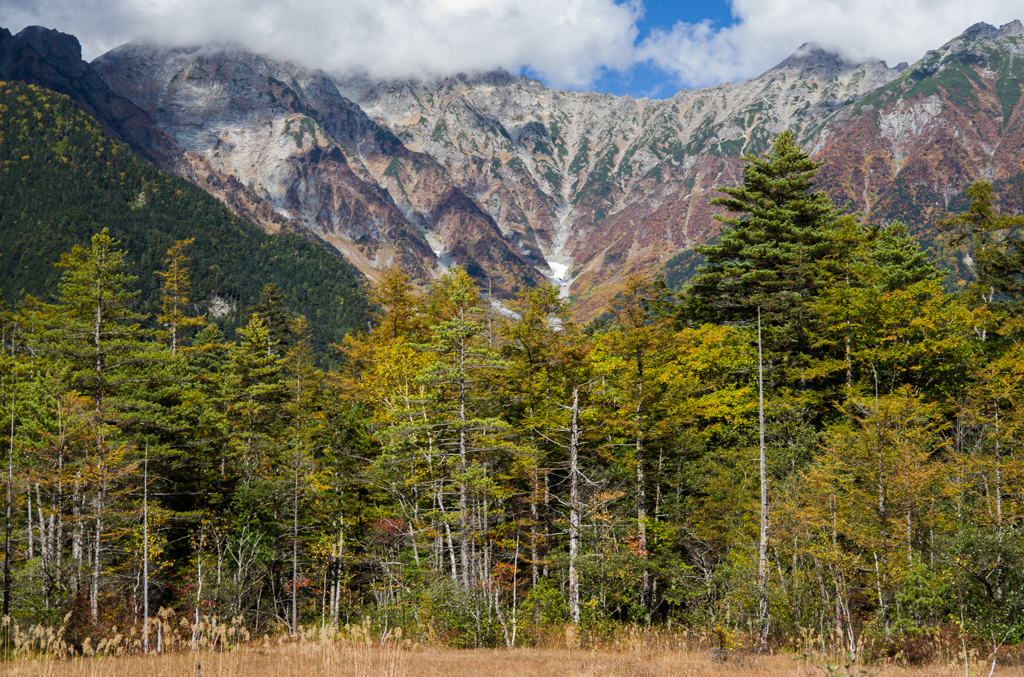2013karasawa-0012