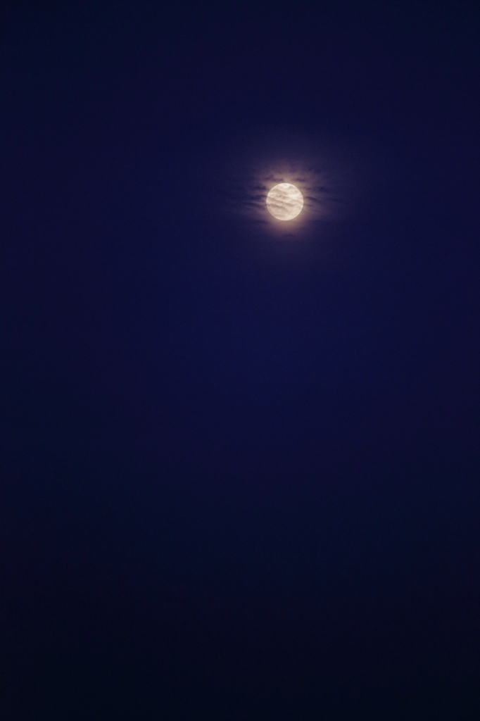 朧月夜