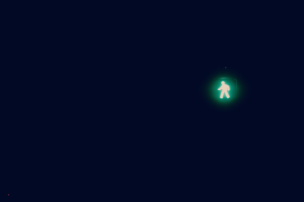 夜のお散歩