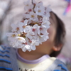 咲いた