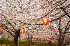 壬生町東雲公園