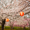 壬生町東雲公園