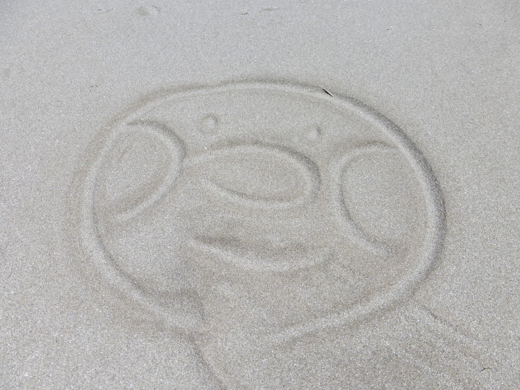 今日の浜絵