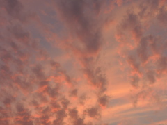 空