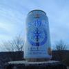 今日のビール