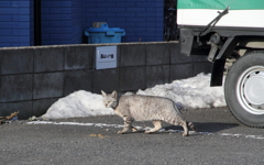 何だ君は？！