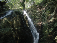 屋久島のそこら辺にある滝