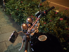 夜の桜木町
