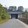 門