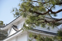 櫓