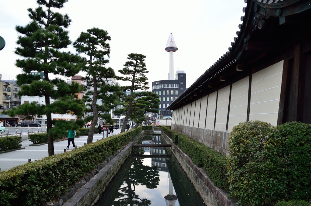堀から望む
