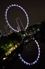 八