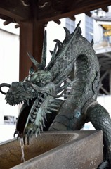 龍