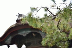 松掛かり