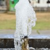 水