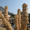 養生