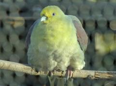 京都動物園