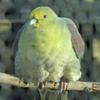 京都動物園