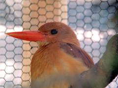 京都動物園