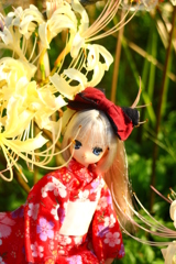 秋麗