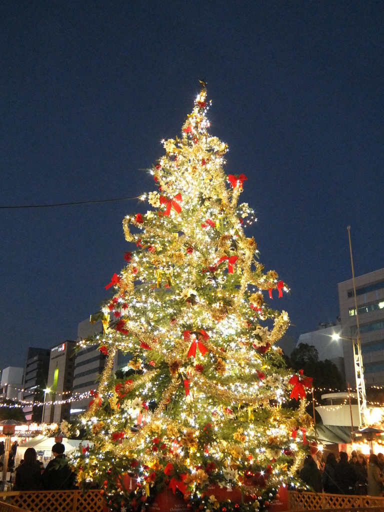 DSCF1311
