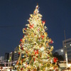 DSCF1311