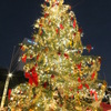 DSCF1312