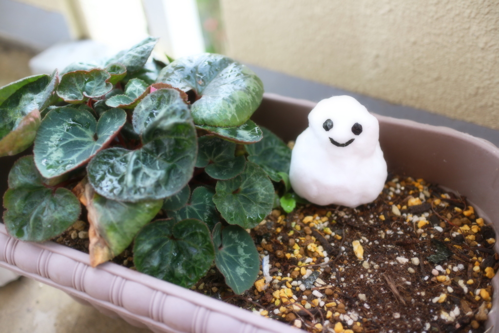 Little snowman*
