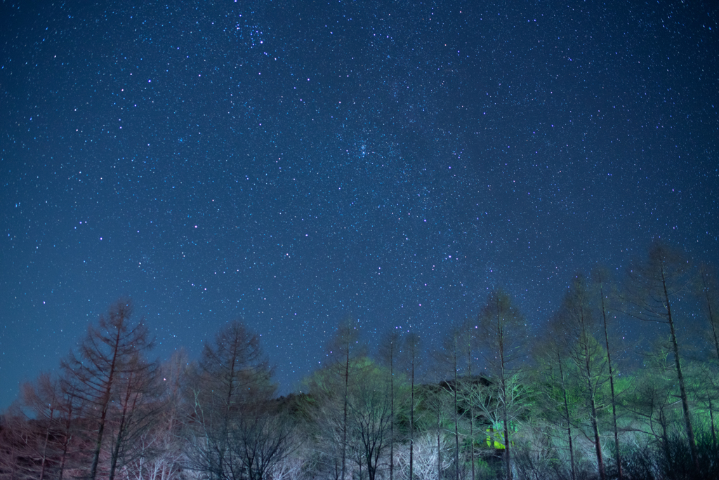 茶臼山の星