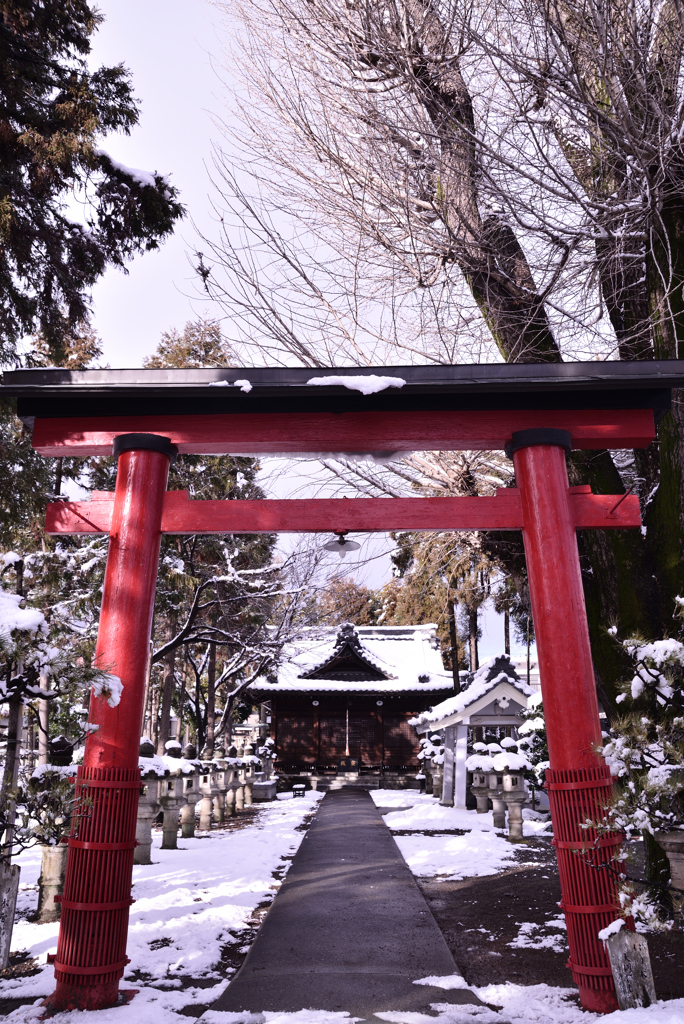 雪まとう