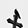 Cross and Crow