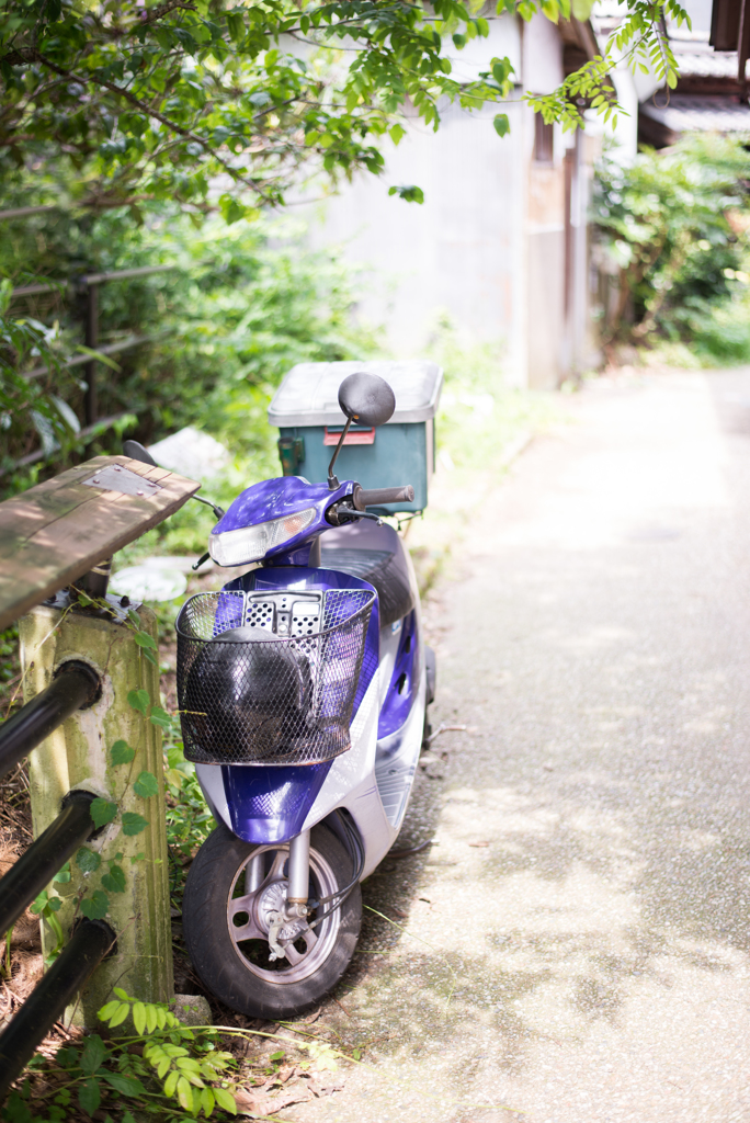 どこかの相棒
