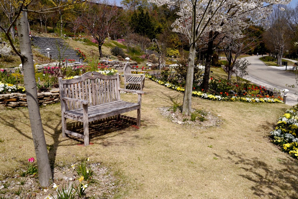 Princess Bench