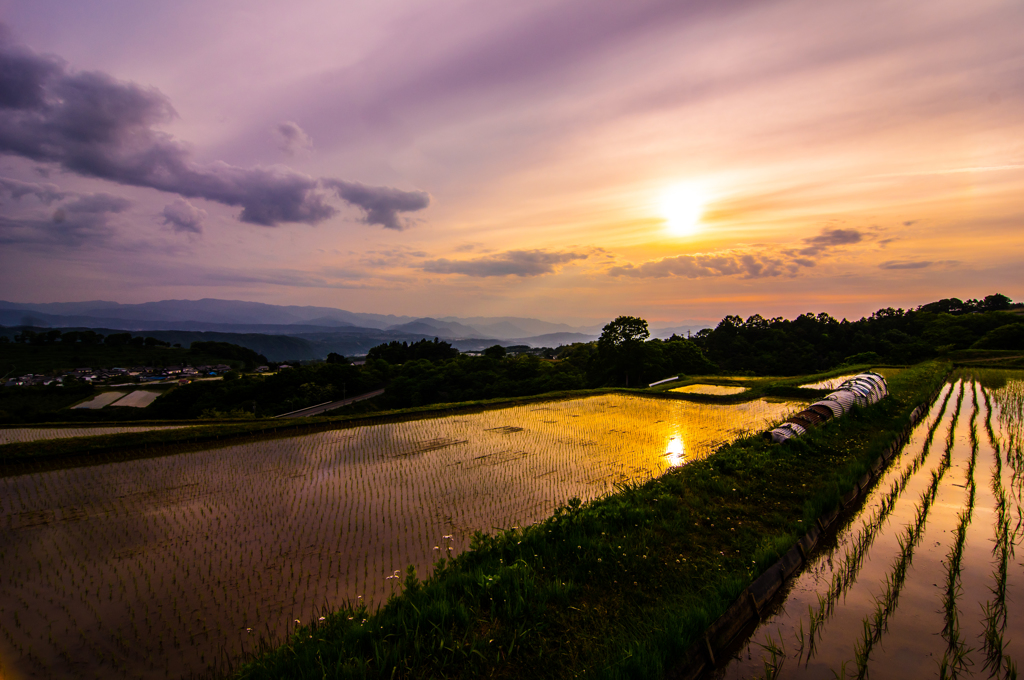 いつかの夕暮れ