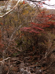 赤城嶺に