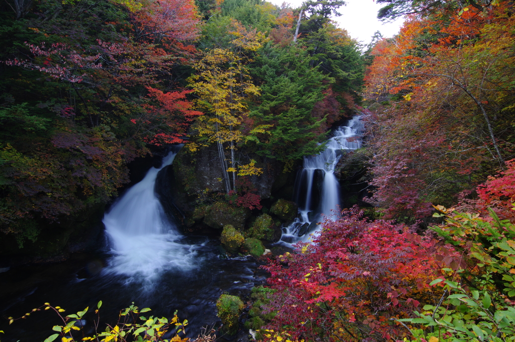 竜頭の滝・下流１