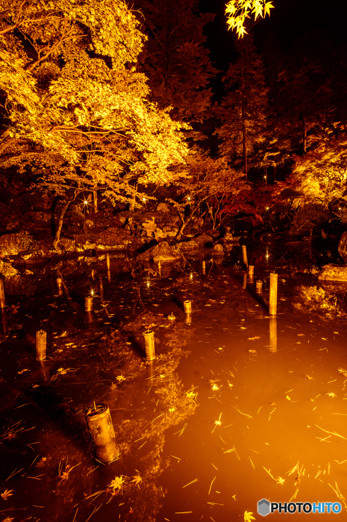 徳明園の夜