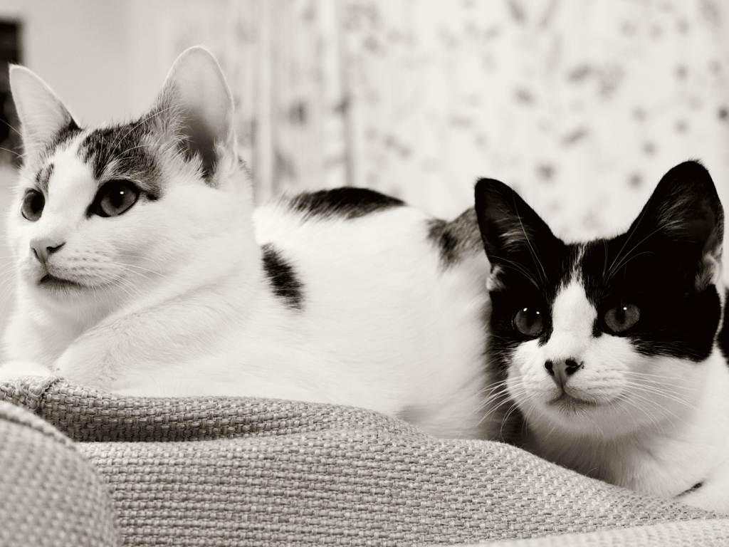 Two